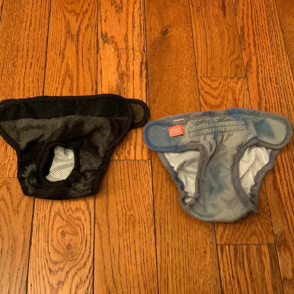 Doggie underwear
